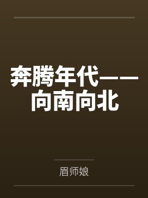 奔腾年代向南向北小说