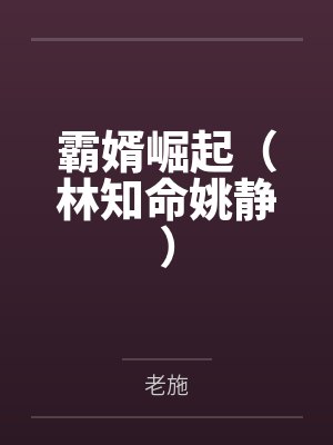 霸婿崛起（林知命姚静）by老施