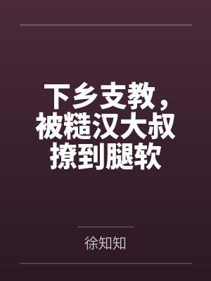 我的律师大人 小说