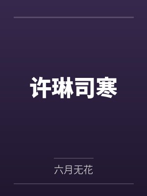 当审计成为皇上后小说阅读
